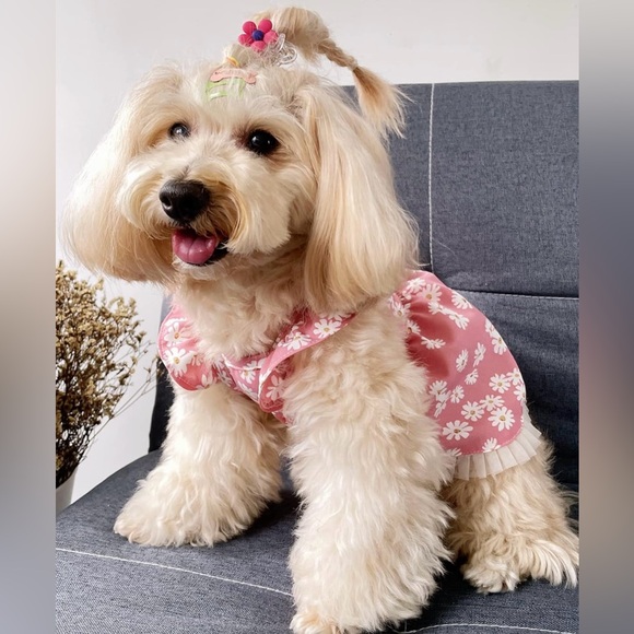 Daisy Graphic Pet Dress with Breathable Loungewear for Dogs and Cats - Picture 10 of 10